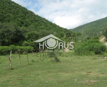 Frac. Campestre 